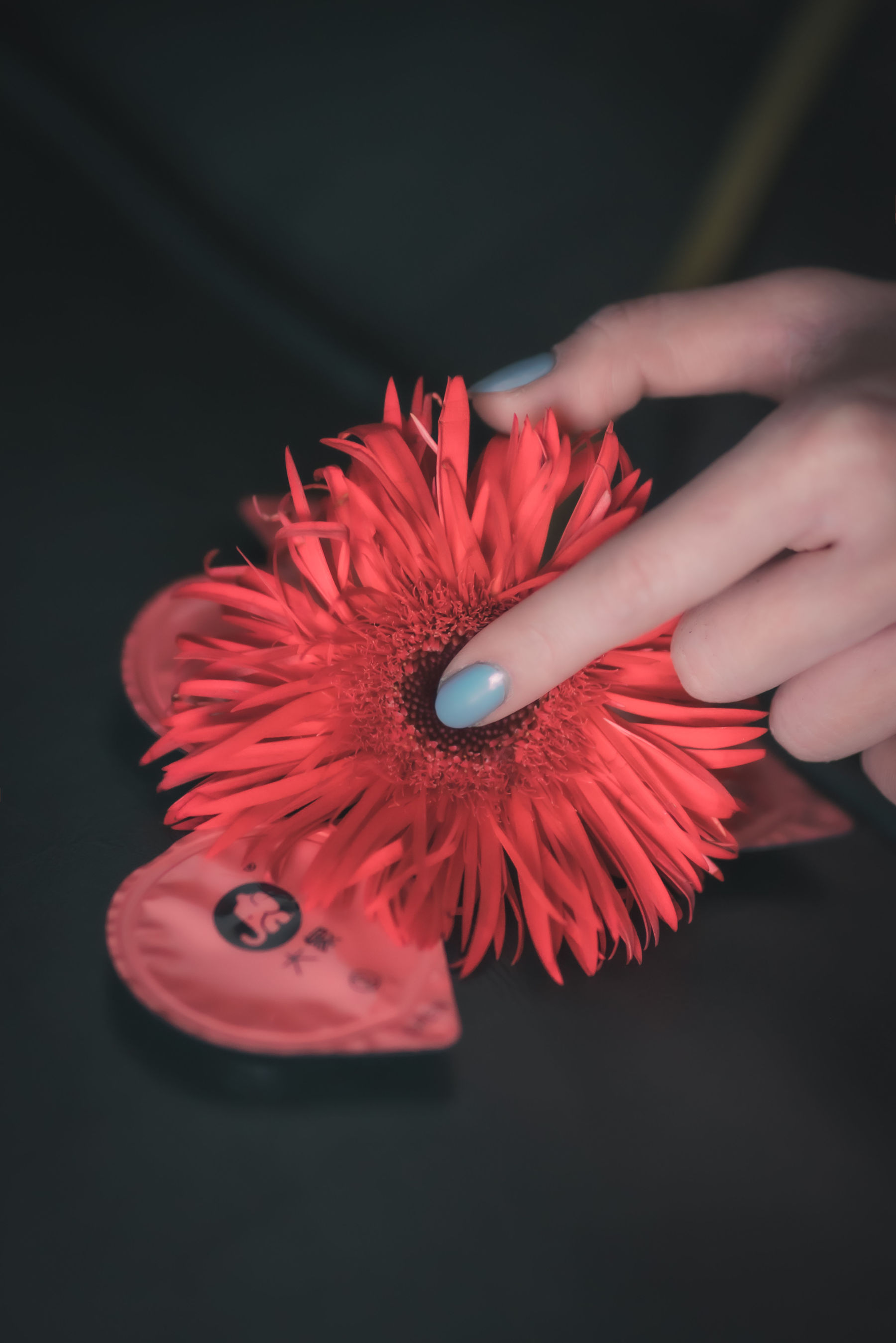 [COS福利] COS少女星野咪兔 - 花吃了那女孩第4张