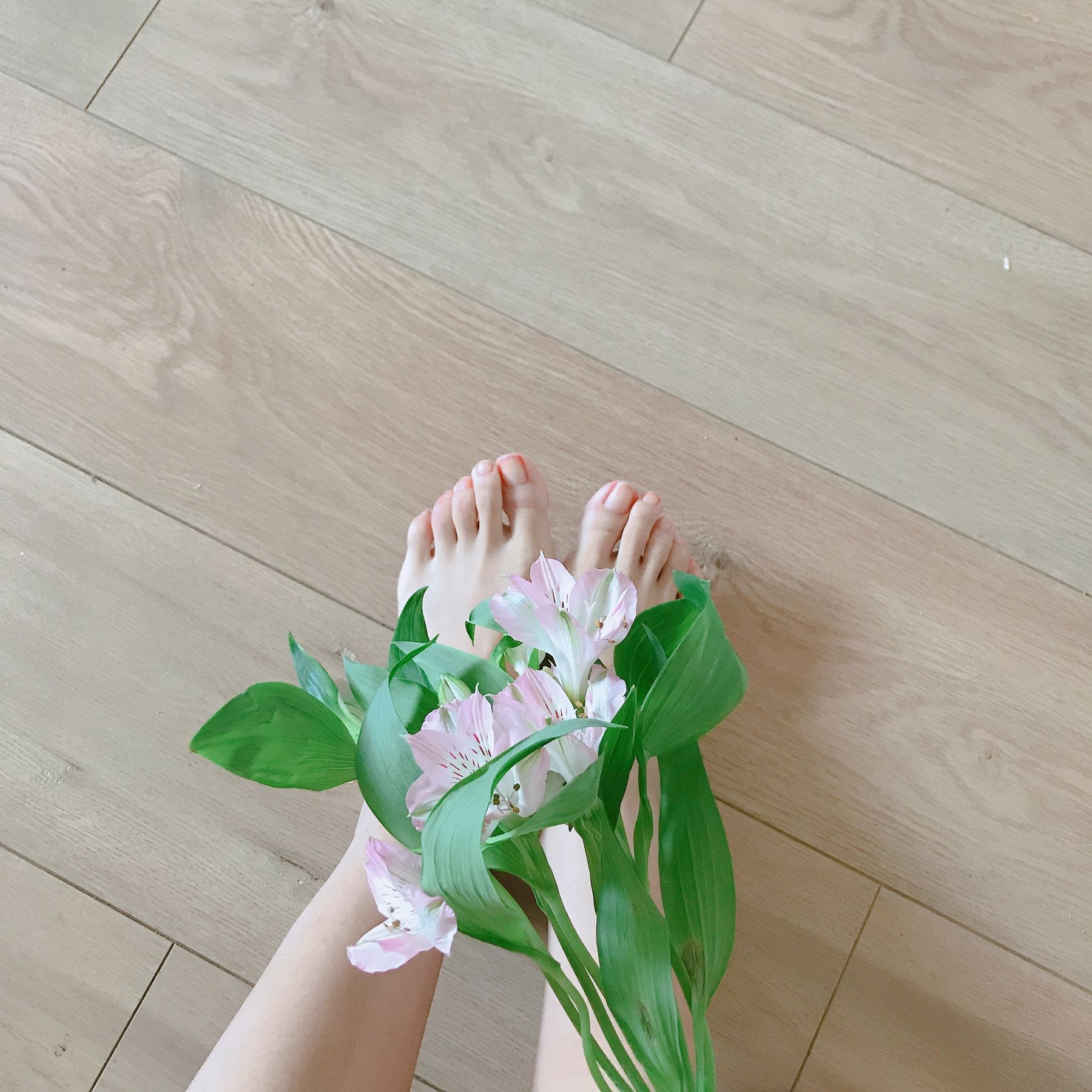 [福利COS] 安乔乔儿(Nia乔乔) No.006 学姐来了第1张