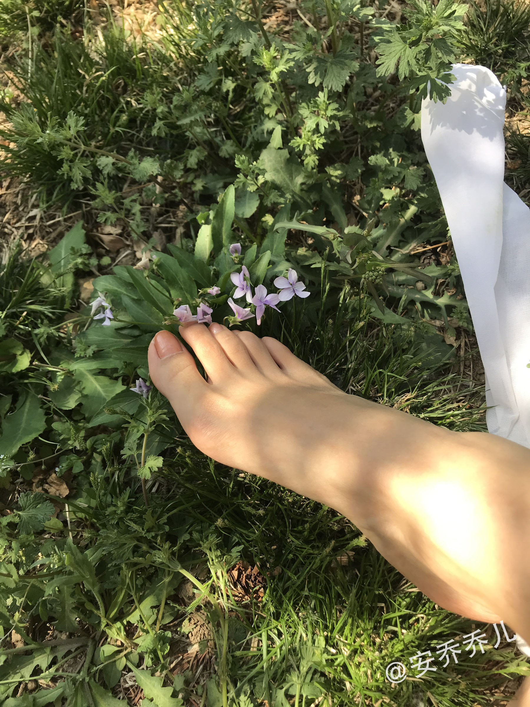 [福利COS] 安乔乔儿(Nia乔乔) No.018 夏天的风第36张