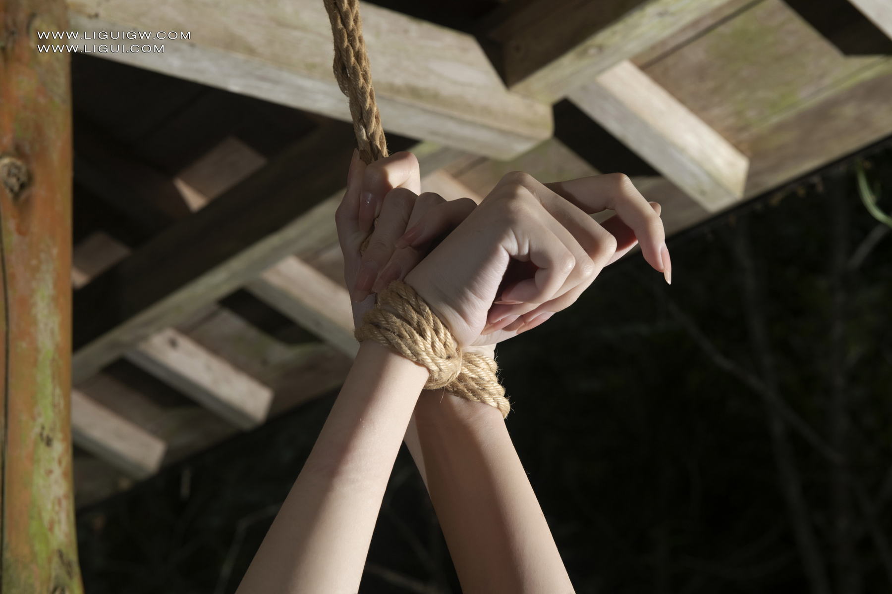 [Ligui丽柜] 2025.04.11《和风缚影》兔子 Tuzi第17张