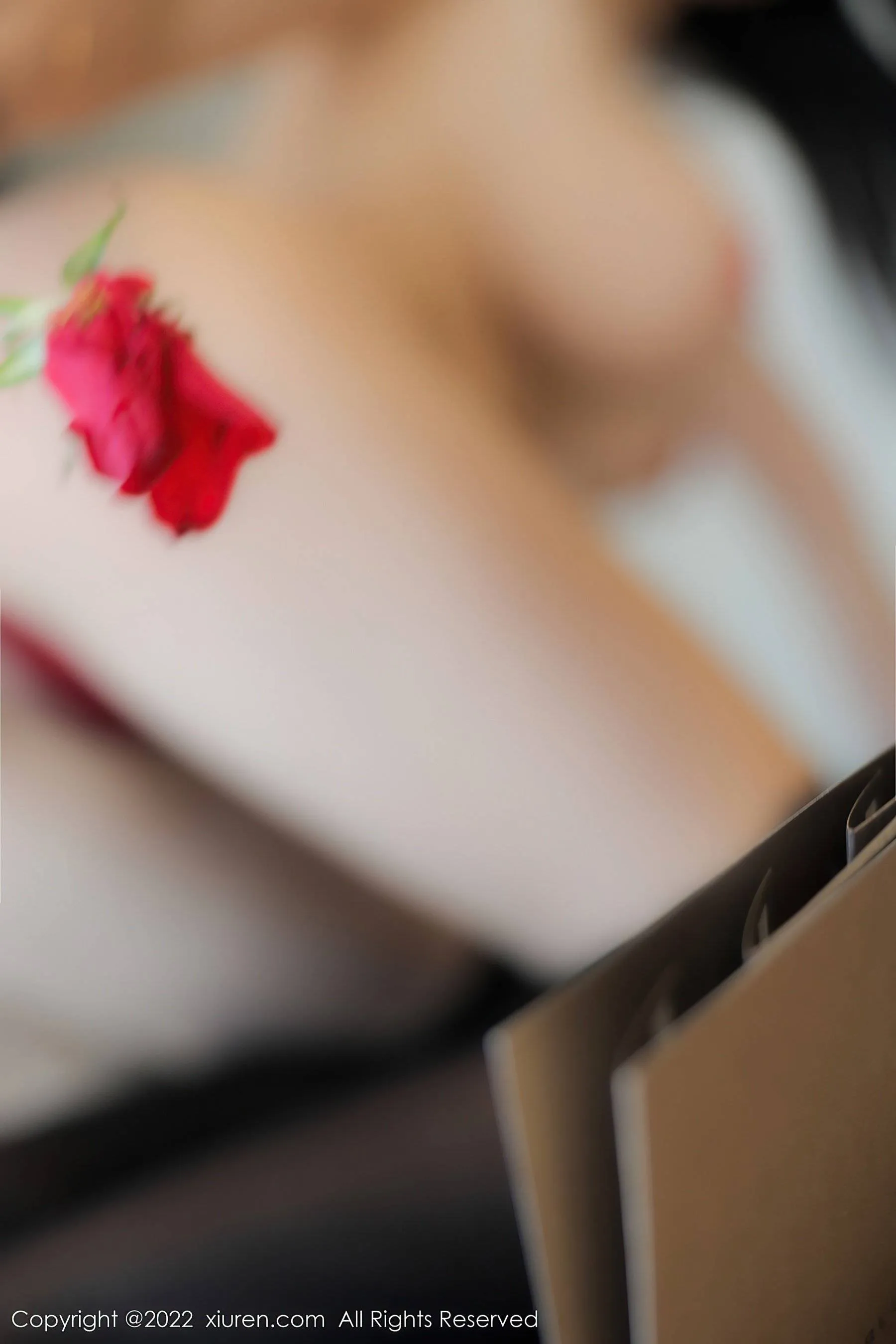  秀人网 No.5455 美七Mia第24张