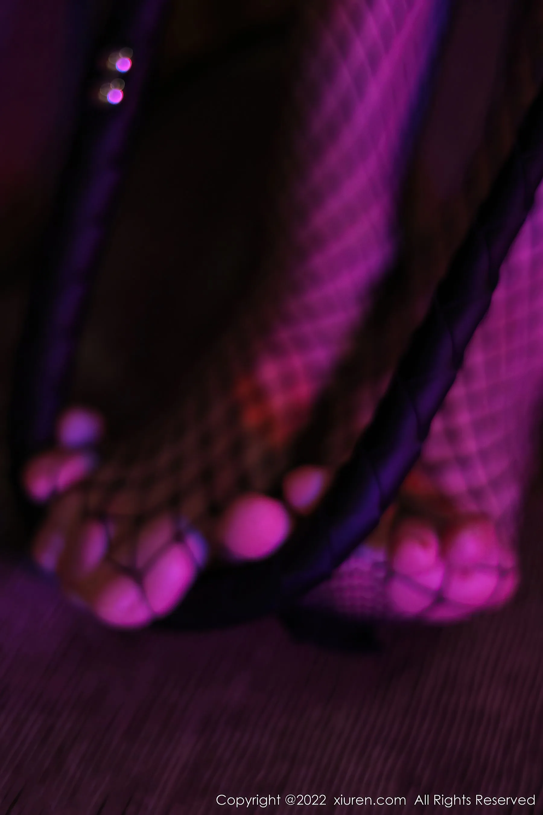  秀人网 No.5065 蓝莓FY 网格袜美腿第14张