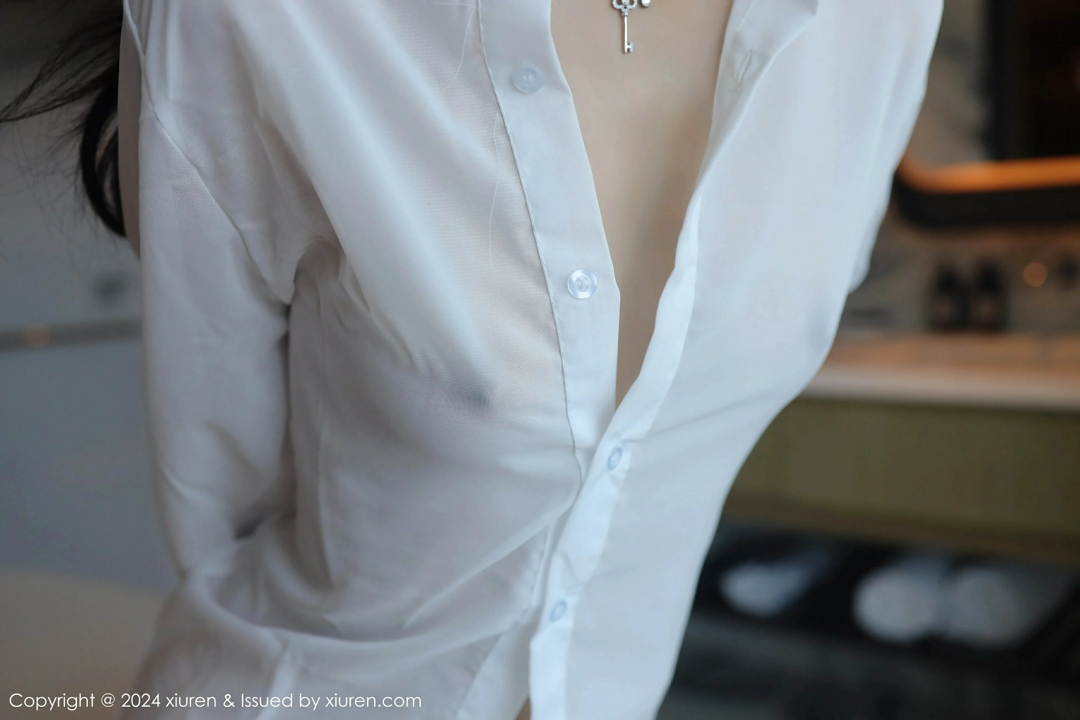  XiuRen 秀人 No.9251 林好好 新人模特 [67P]第12张