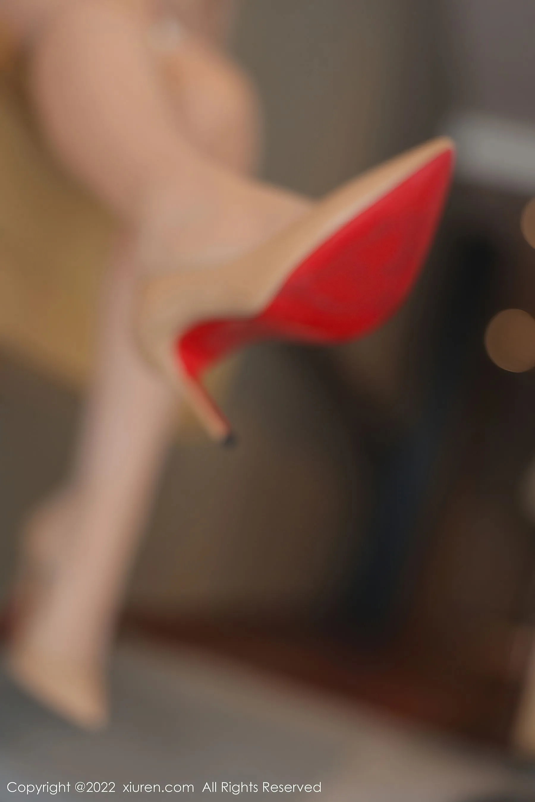  秀人网 No.5645 田冰冰第6张