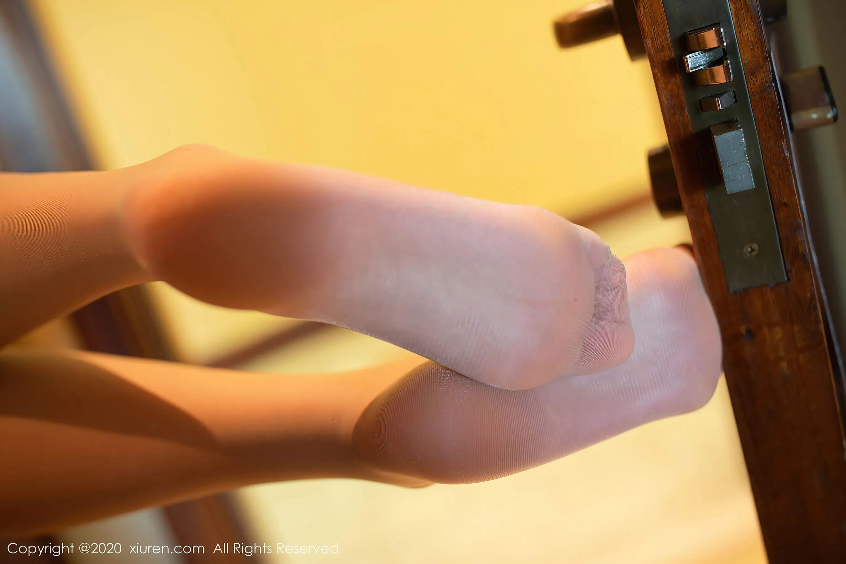  秀人XIUREN No.2389 就是阿朱啊第8张