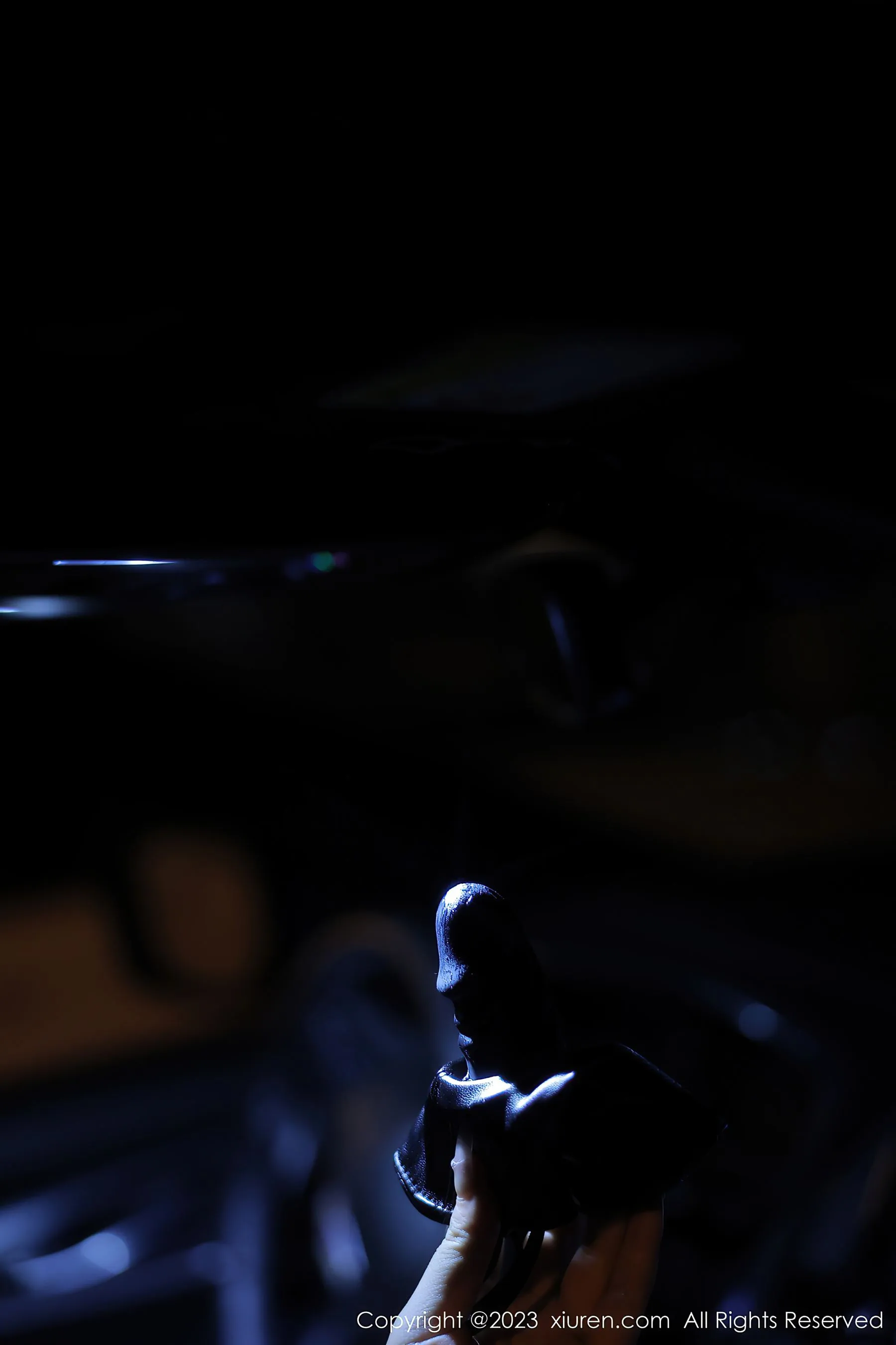  秀人网 No.6650 江真真 黑丝美臀第24张