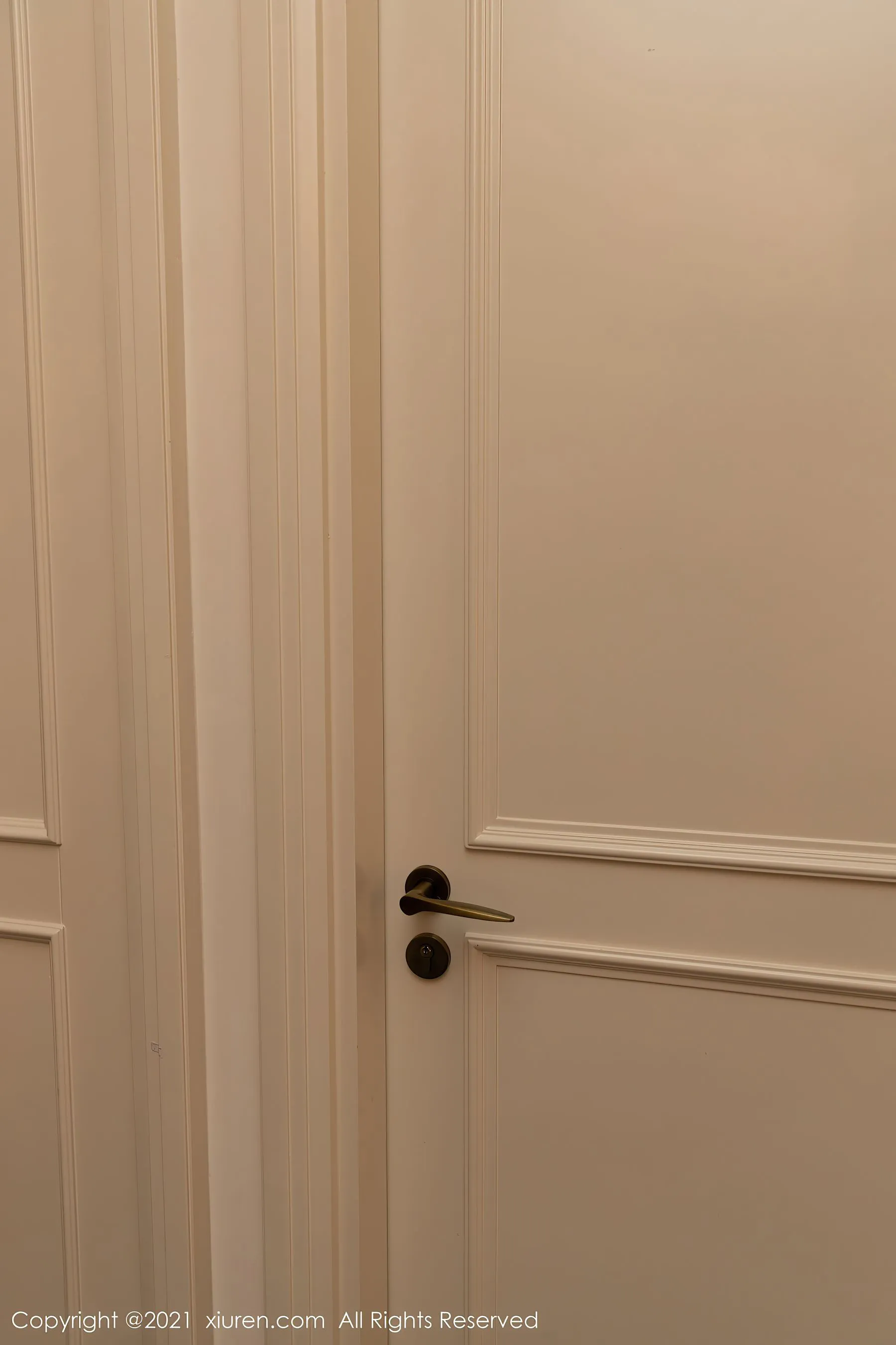  秀人 No.3176 王雨纯第23张