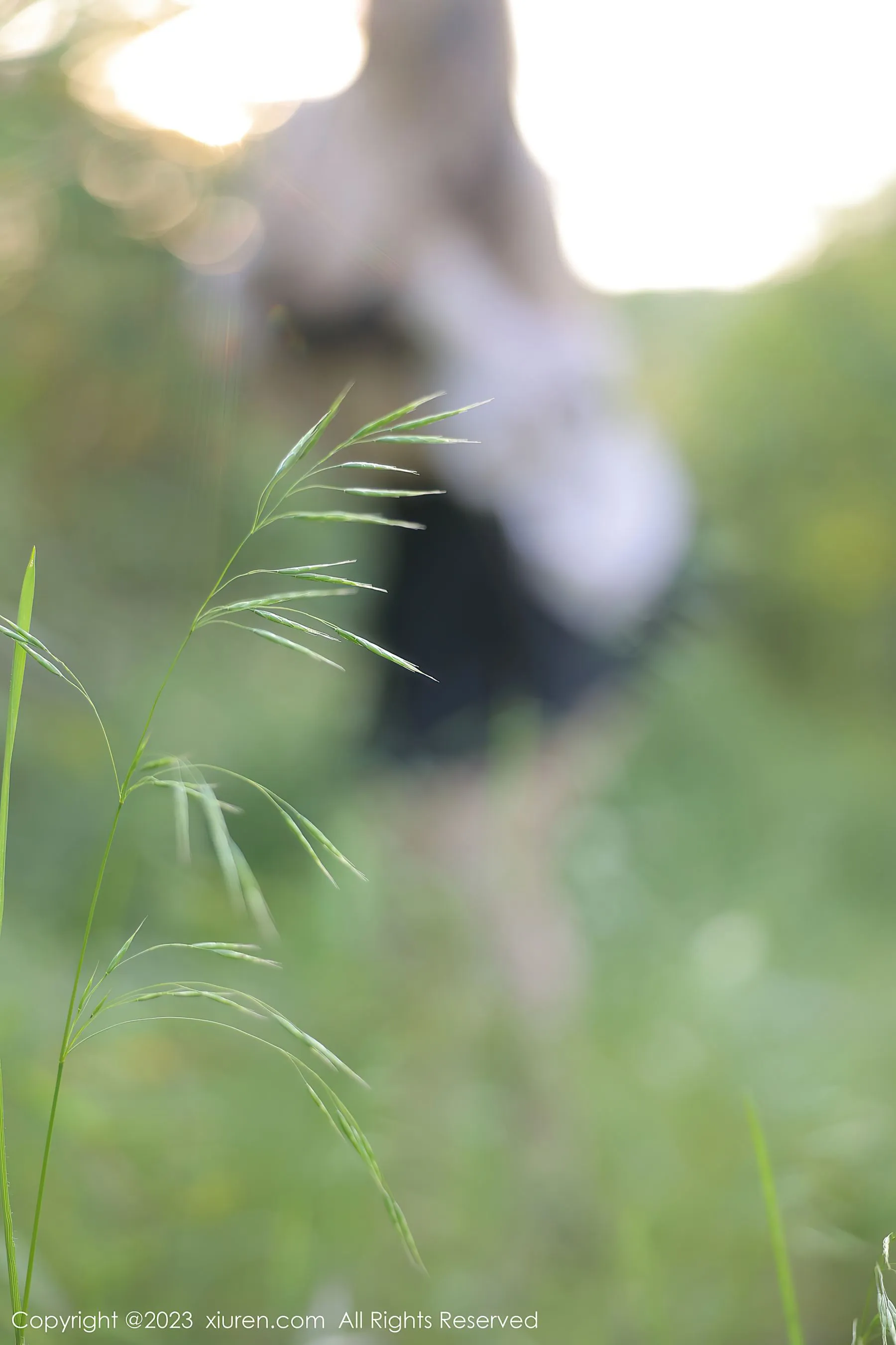 秀人网 No.6721 江真真第3张