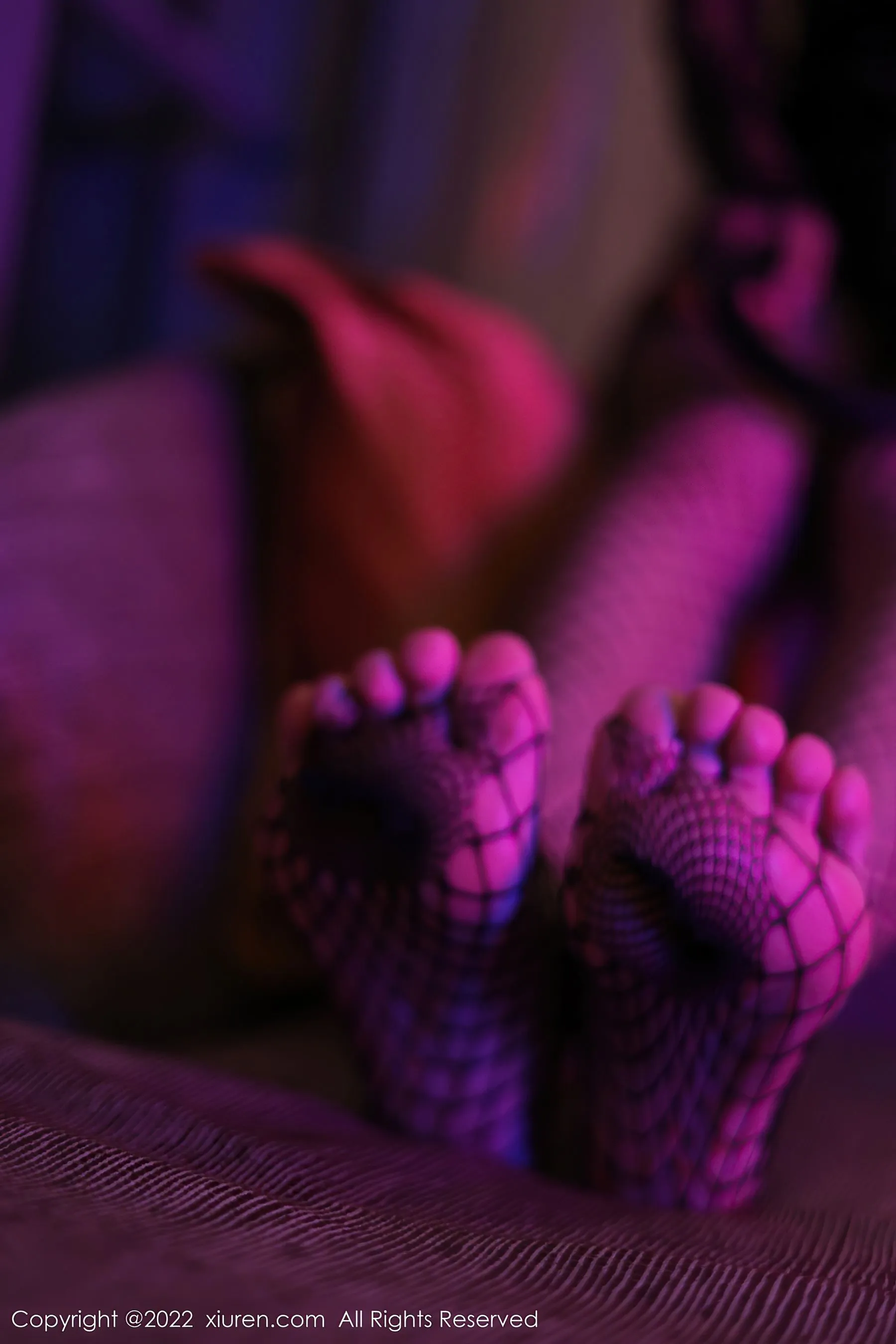  秀人网 No.5065 蓝莓FY 网格袜美腿第14张