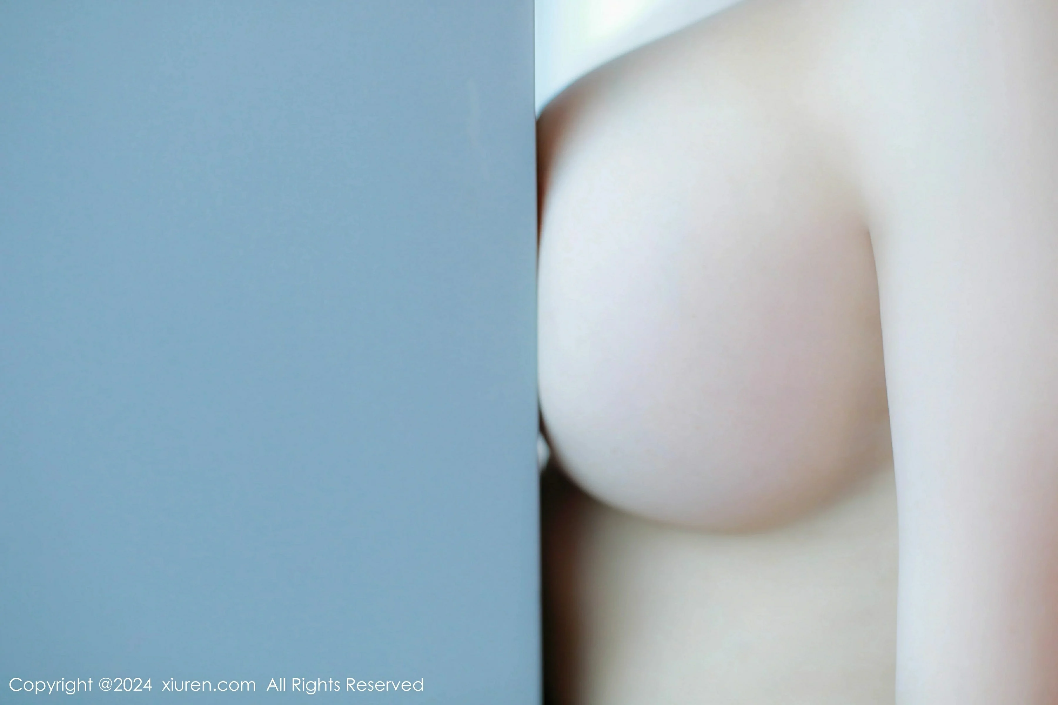  XiuRen 秀人 No.9341 田冰冰 [58P]第13张