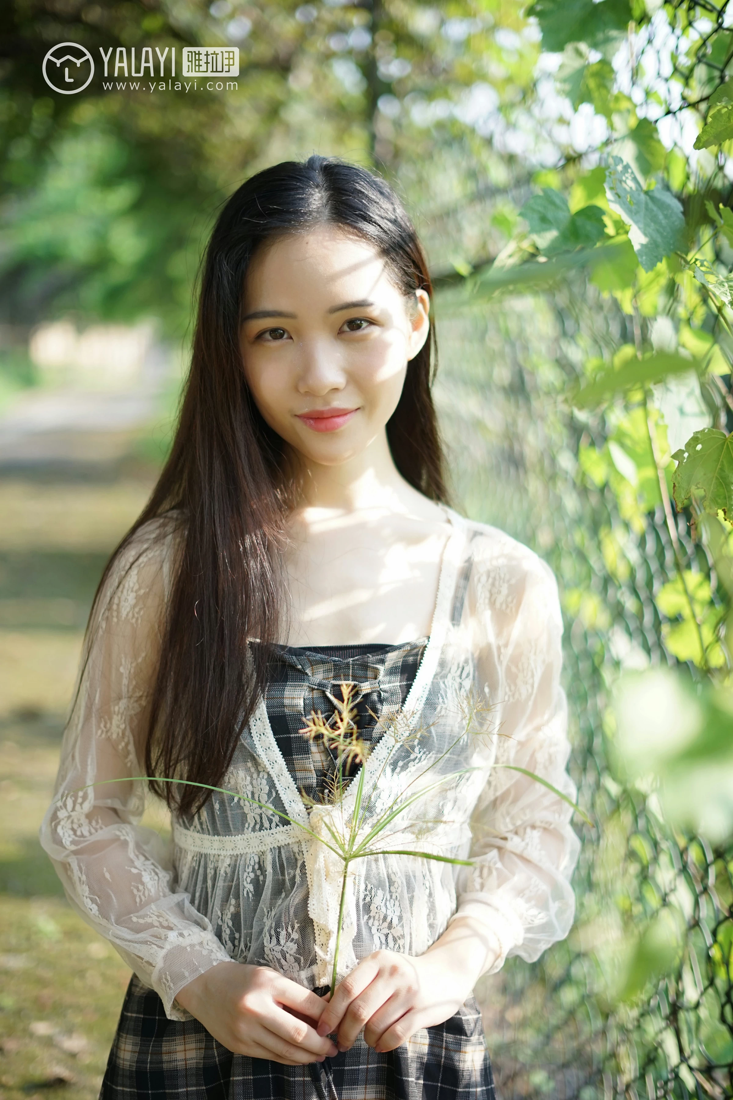 [YALAYI雅拉伊]NO.029 纯粹之心 卡柔 透视蕾丝上衣加吊带连衣裙性感私房写真集第6张