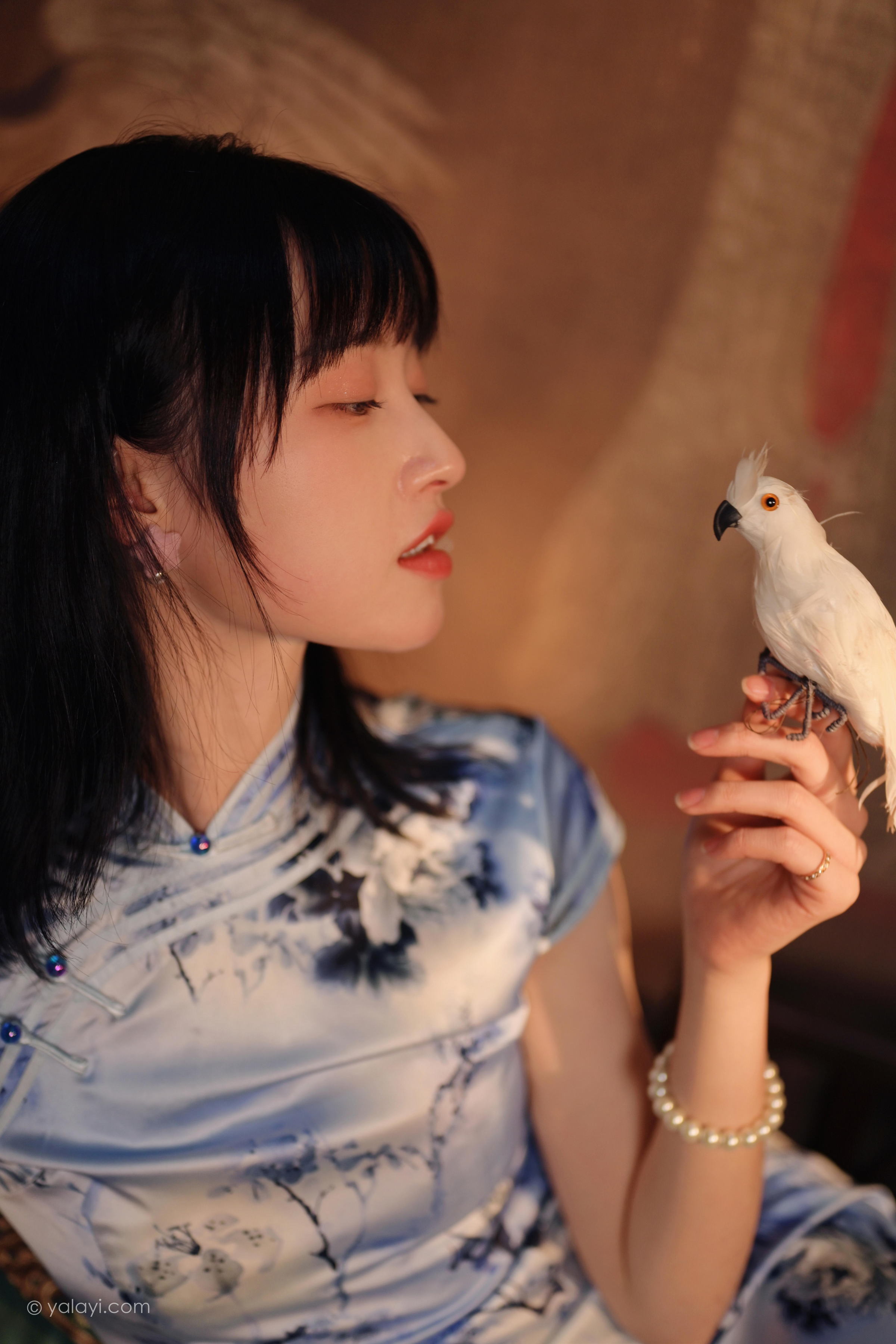 [YALAYI雅拉伊]2022.03.18 绝代芳华 京京 银色无袖旗袍民国风优雅写真集第5张