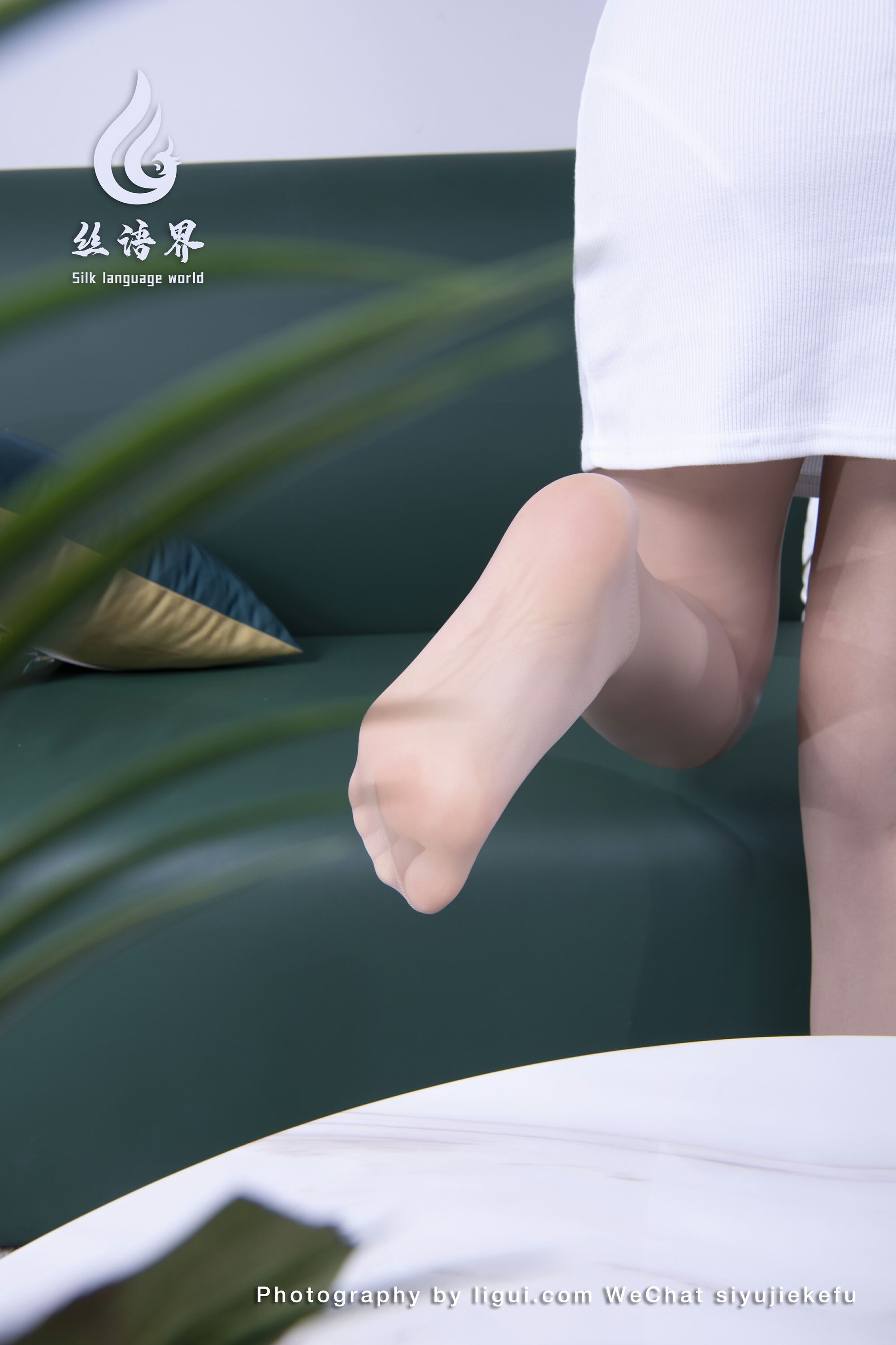 Ligui丽柜   丝语界2023.03.19 《微甜的时光》安诺第3张